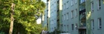 Green Mango Flat