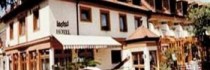 Hotel Bacchus