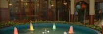 Hotel Vintage Residency