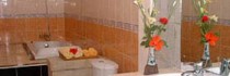 Graha Resort Ubud