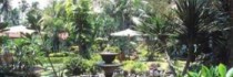 Dewi Sri Cottage