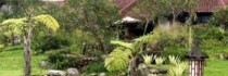 Novus Puncak Resort & Spa