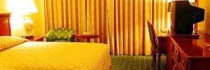 The Regency Palace