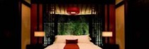 Banyan Tree