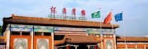 Dragon Spring Hotel