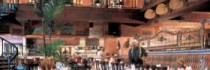 Sunway Lagoon Resort Hotels