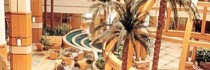 Al Bustan Rotana - Dubai