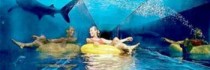 Atlantis The Palm