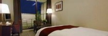 Loisir Hotel Atsugi