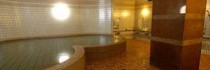 Hotel Sanoya (ryokan)