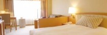 Kyoto Brighton Hotel