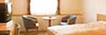 Sannomiya Terminal Hotel