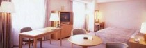 Holiday Inn Mito