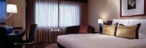 Ana Hotel Okayama