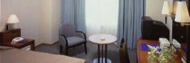 Ana Gate Tower Hotel Osaka