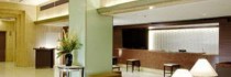 Yaesu Fujiya Hotel