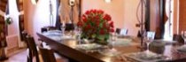 Terre Resort And Spa