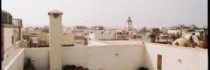 Riad Lotus O Marine