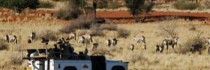 Kalahari Anib Lodge