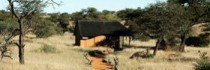 Camelthorn Kalahari Lodge
