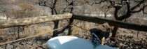 Eagle Tented Lodge & Spa Etosha