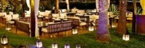 Yadis Hammamet