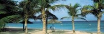 Amsterdam Manor Beach Resort