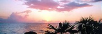 Sammy T's Beach Resort