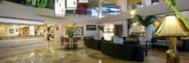 Viva Wyndham Dominicus Palace All Inclusive