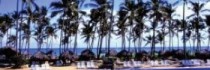 Sirenis Cocotal Beach Resort and Spa