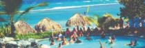 Coral Costa Caribe