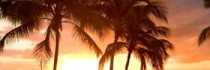 Tortuga Bay