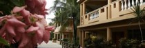 Celuisma Cabarete