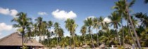 Viva Wyndham Dominicus Beach All Inclusive