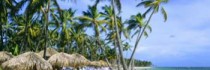 Dreams Palm Beach Punta Cana All Inclusive