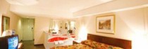 Travelodge Hotel By The Falls