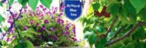 Byward Blue Inn