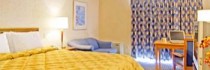 Comfort Inn Ambassador Bridge