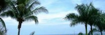 Hotel Parador Resort And Spa