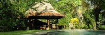 Tiskita Jungle Lodge