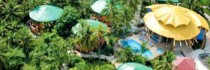 Timarai Bamboo Resort