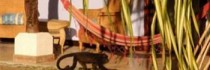 Bahia Del Sol Beach Front Hotel & Suites