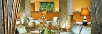 The Fairmont Pierre Marques