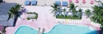 La Palapa
