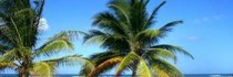 Embassy Suites Dorado Del Mar Golf - Beach Resort