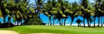Four Points By Sheraton Palmas Del Mar Resort