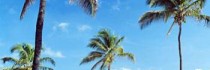 Nisbet Plantation Beach Club