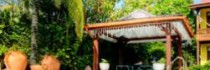 Ginger Lily Hotel