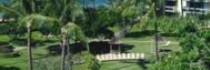 Kaanapali Beach Hotel