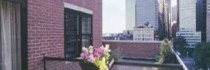 Hampton Inn Manhattan/seaport/financial District